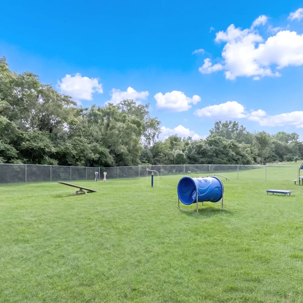 Fenced dog park with green grass, a blue tunnel, seesaw, slide, and bench under a blue sky.