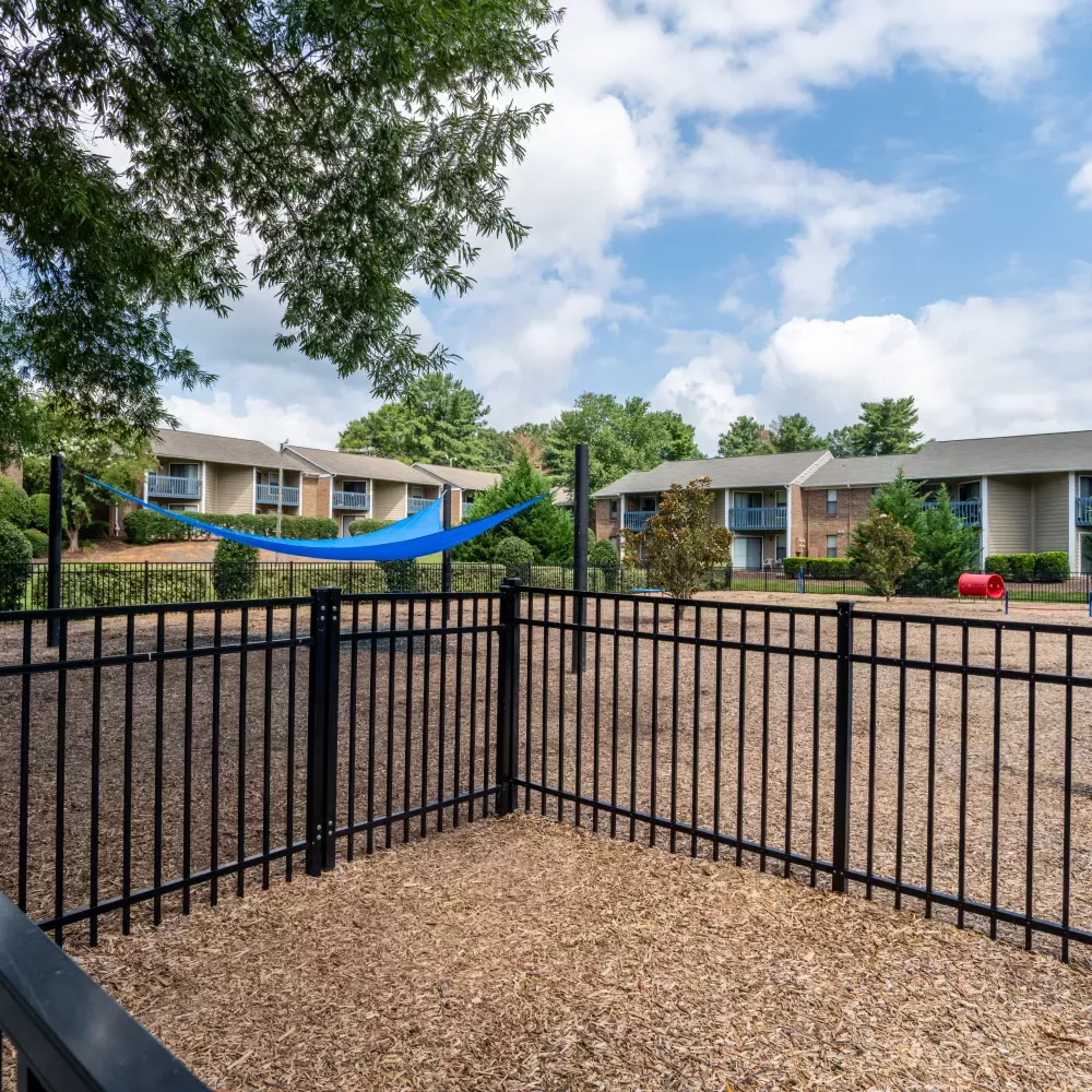 Fenced apartment courtyard with wood chips in foreground, a blue hammock, and buildings under a sunny sky.