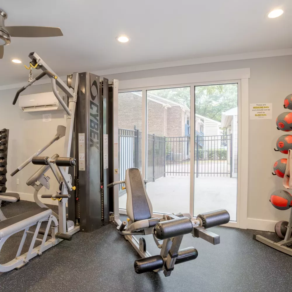 Modern gym interior with exercise machines, dumbbell rack, medicine balls, and a sliding glass door to the outside.