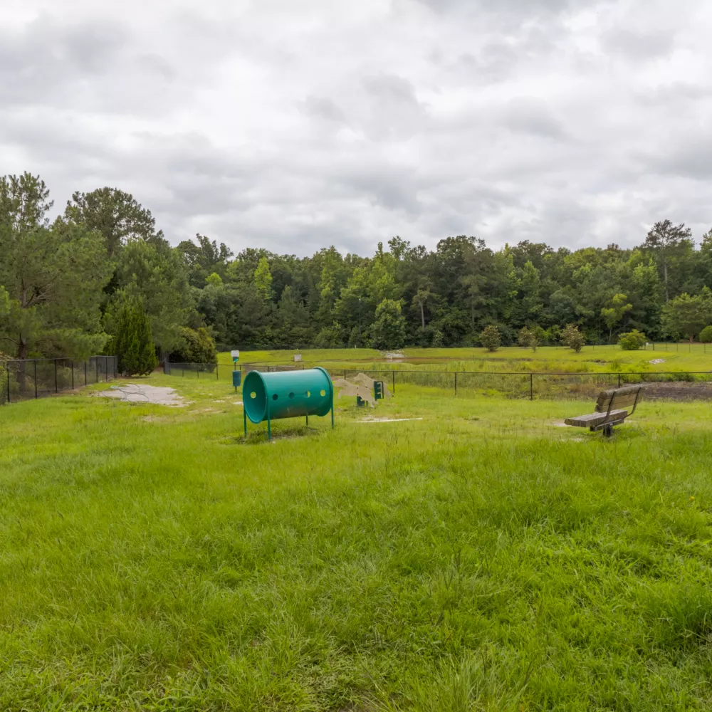 A fenced outdoor dog park with green grass, play equipment, and a wooden bench. Trees and a building in the background.