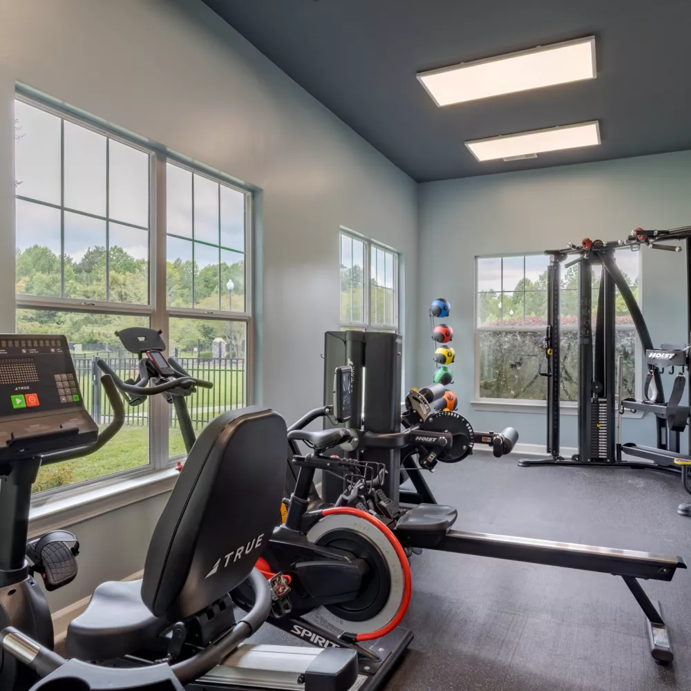 Photograph: Modern gym with cardio machines, a rower, weights, light blue walls, dark ceiling, and large windows.