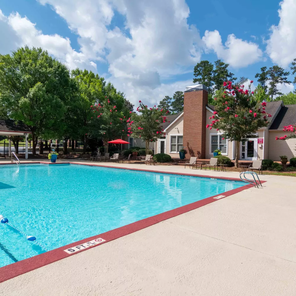 Outdoor swimming pool with a clubhouse, pink flowering trees, and lounge areas under a sunny sky.