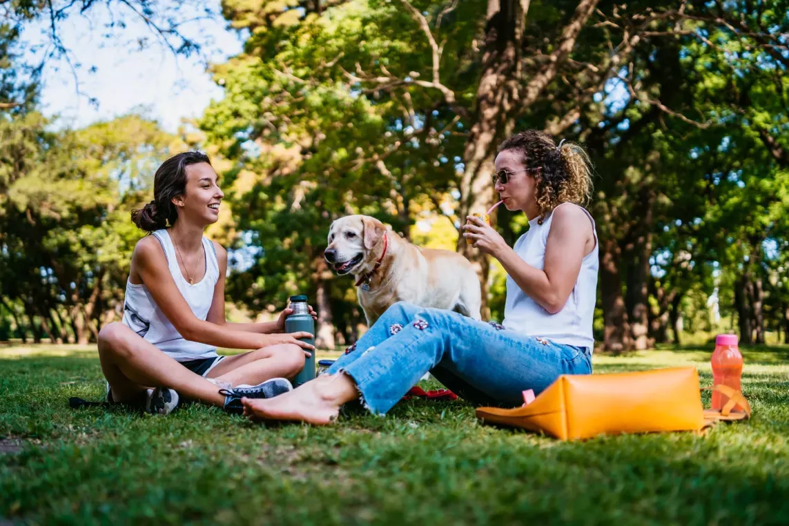  Two smiling women enjoying a picnic in a lush green park, accompanied by a friendly dog. The relaxed outdoor setting highlights a pet-friendly and community-oriented lifestyle under a bright, sunny day.