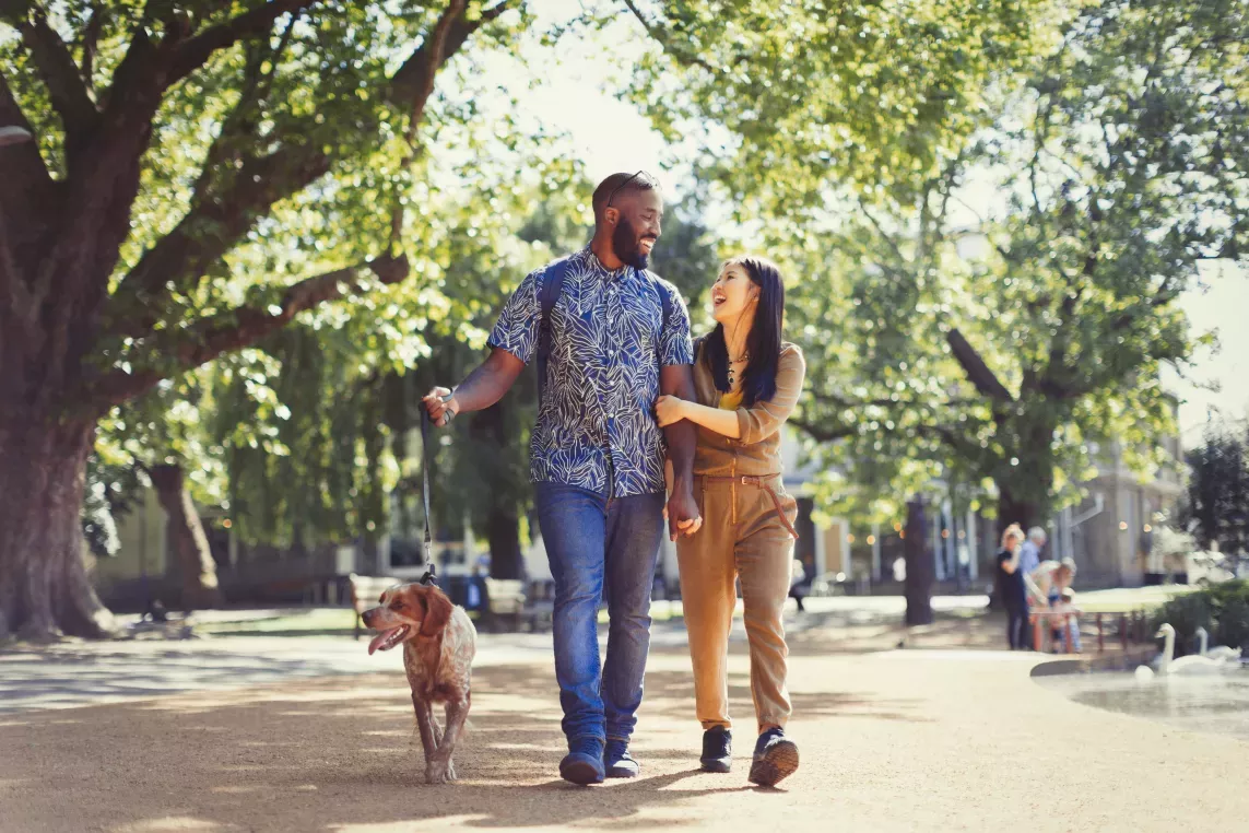 A couple walking their dog together in a sunny park with trees and dappled light in the background.
