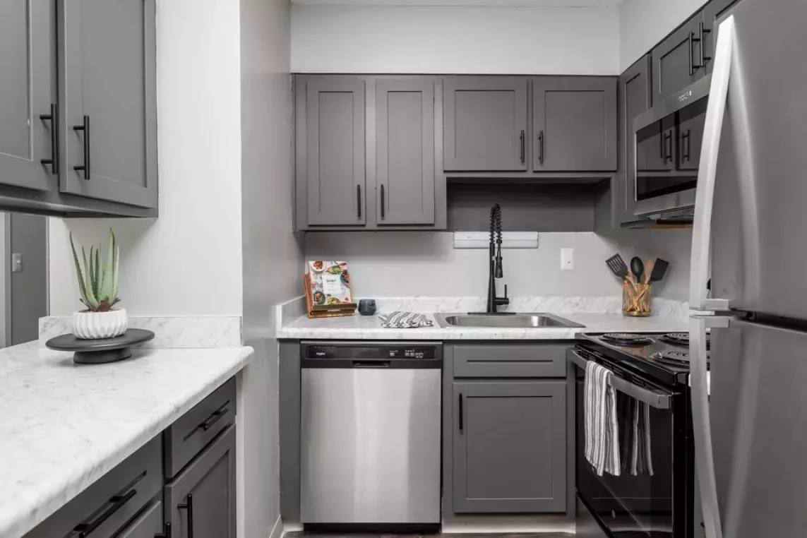 A modern kitchen with dark gray cabinetry, stainless steel appliances, and marble countertops featuring a small succulent for decoration.