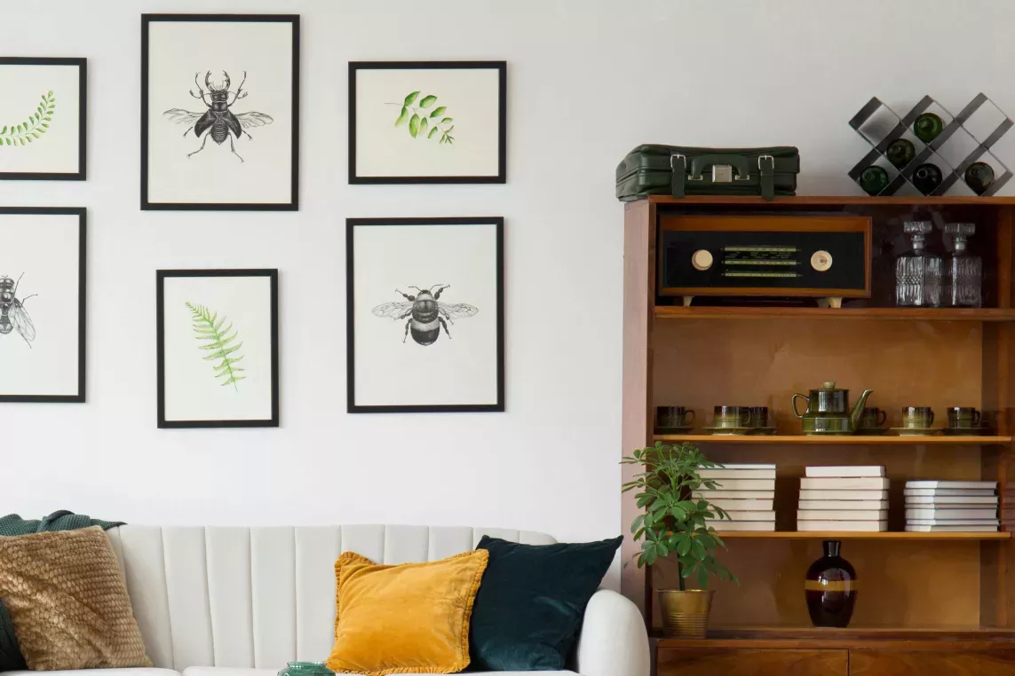 A stylish living room featuring a white sofa with colorful accent pillows, a wooden coffee table, and a mid-century modern bookshelf displaying books, plants, and decor. The wall is adorned with framed nature-themed art, creating a cozy and elegant atmosphere, ideal for showcasing the interior design possibilities at Broadview Oaks Apartments.