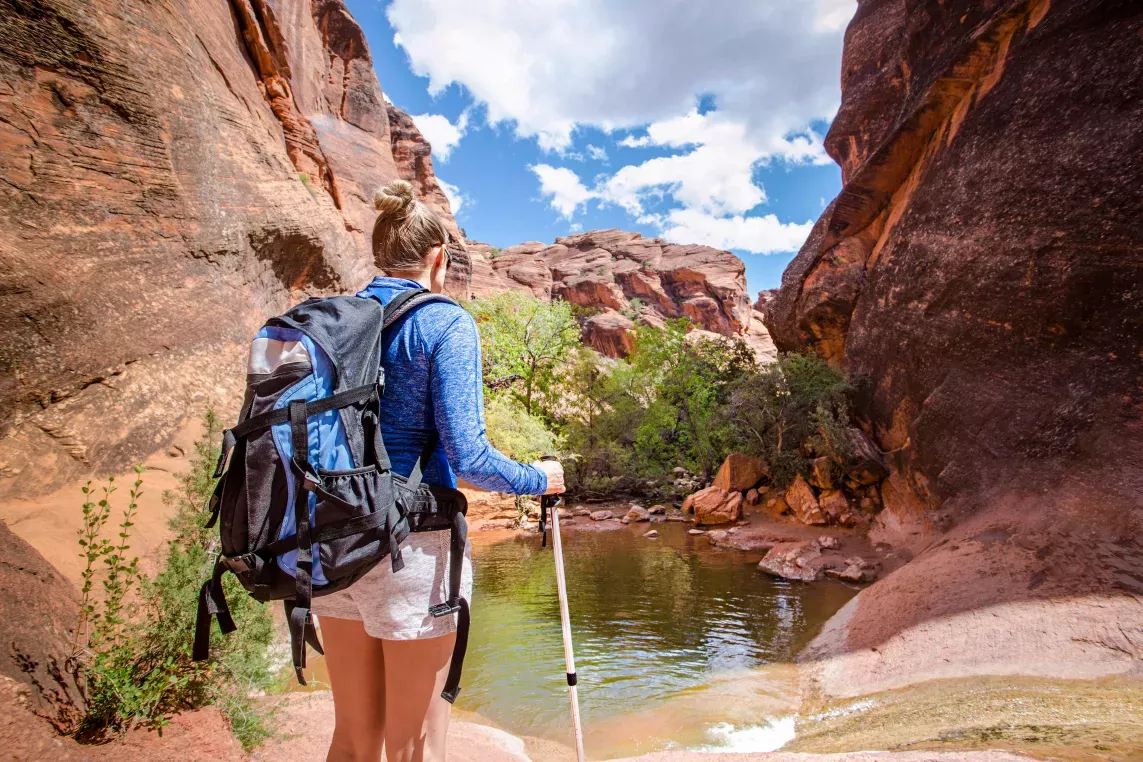 Backpacker hiking through a national park.