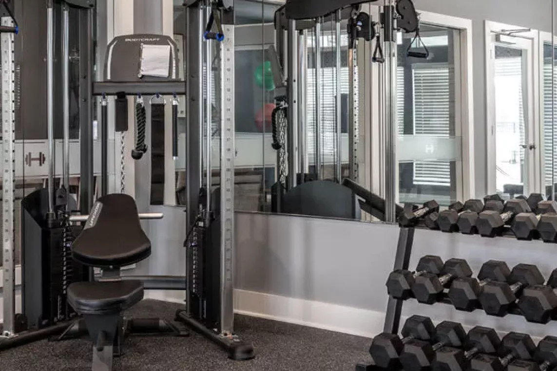 A fully-equipped fitness center featuring weight racks and resistance machines.