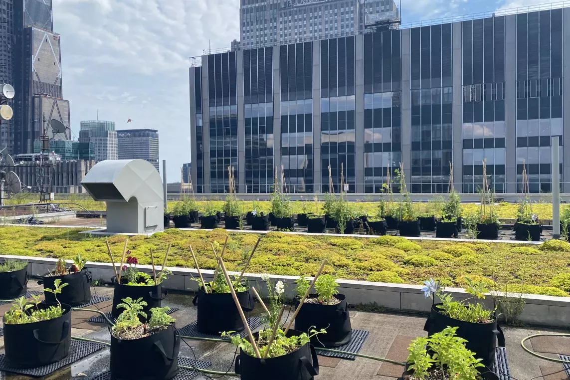 Sustainability