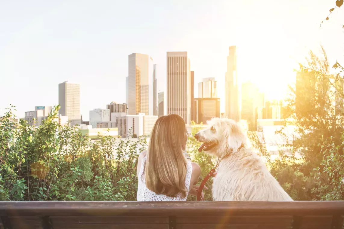 A woman sitting on a bench with her dog, enjoying a sunny view of the city skyline surrounded by greenery.