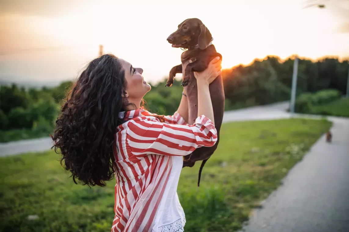 Alt text: A woman in a red and white striped shirt joyfully lifts her dachshund in the air while standing on a grassy path at sunset, with a warm glow highlighting their bond.
