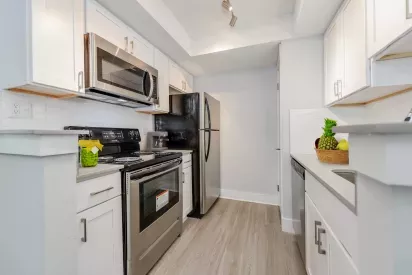 "Bright, modern kitchen with stainless steel appliances, white cabinetry, and a sleek, clean design."