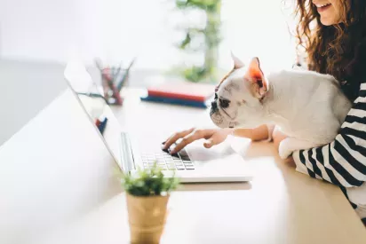 A woman sitting at a desk with her French Bulldog on her lap, both looking intently at a laptop screen.