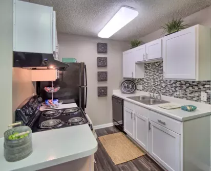 A modern kitchen featuring white cabinetry, stainless steel double sinks, black electric appliances, a mosaic tile backsplash, and potted plants adding greenery.