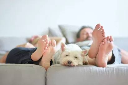 A small white dog relaxes on a couch between two people resting with their feet up, creating a cozy atmosphere.