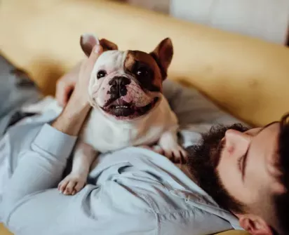  Person relaxing on a couch with their smiling French Bulldog, enjoying a cozy moment together with affection and warmth.