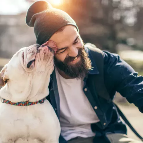 A bearded man in a beanie is smiling as a bulldog affectionately licks his face outdoors, with a warm sunlit background.