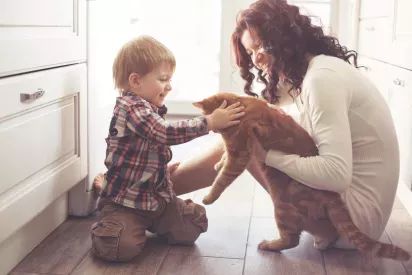 A young child pets a ginger cat while a smiling woman holds the cat gently in a bright kitchen setting.