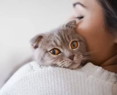 A woman cuddles a gray cat with striking amber eyes, holding it close against her shoulder in a tender and affectionate moment.