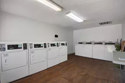 A bright laundry room with multiple washers and dryers arranged neatly along the walls.