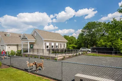 A fenced dog park with ample space for pets to play, located next to a charming clubhouse at The Grove Somerset Apartments, surrounded by lush greenery and blue skies.