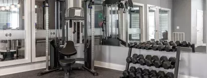A fully-equipped fitness center featuring weight racks and resistance machines.