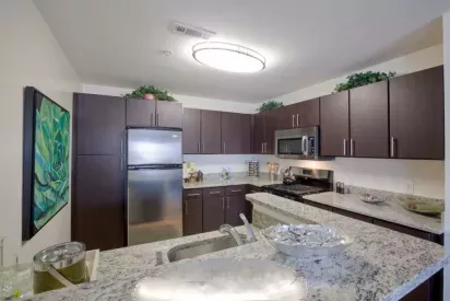 Modern kitchen with dark wood cabinetry, stainless steel appliances, granite countertops, and a stylish breakfast bar.