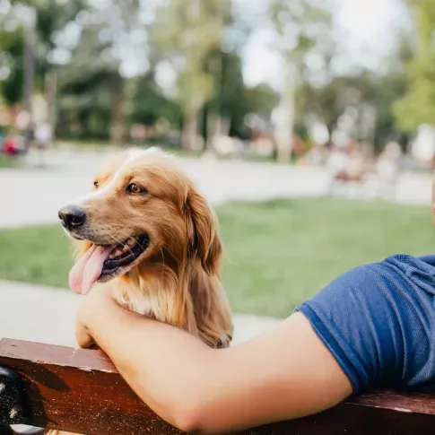 Man and dog sitting on a bench