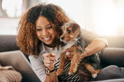 A relaxed tabby cat stretching on a cozy bed, captured mid-yawn in the warm sunlight.