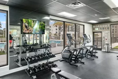 A bright, spacious workout facility at Oak Enclave Apartments equipped with ellipticals, treadmills, and a full rack of dumbbells for residents.