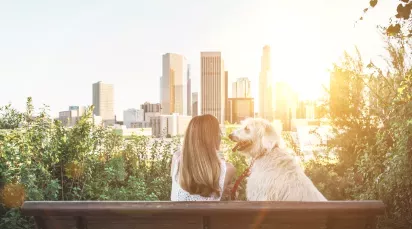 A woman sitting on a bench with her dog, enjoying a sunny view of the city skyline surrounded by greenery.
