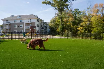 The pet-friendly community at Oak Enclave Luxury Apartments features a spacious, fenced-in dog park with lush artificial turf, perfect for off-leash play.