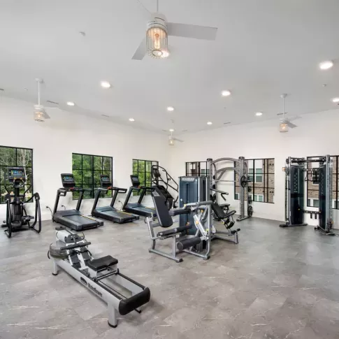 A well-equipped fitness center with treadmills, strength machines, and natural light from large windows.