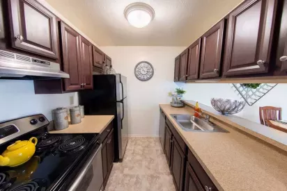 Well-equipped kitchen with sleek countertops, stainless steel appliances, and classic dark wood cabinetry at Forest Creek Apartments