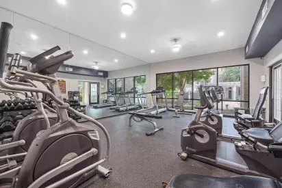 Spacious fitness center with mirrored walls, treadmills, ellipticals, recumbent bikes, free weights, and natural light from large windows overlooking the outdoor area.