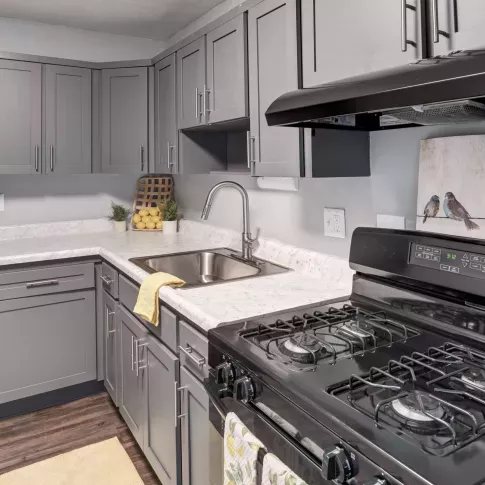 Modern kitchen with dark gray shaker cabinets, sleek hardware, marble-style countertops, black appliances, and wood-style flooring, creating a stylish and functional cooking space.