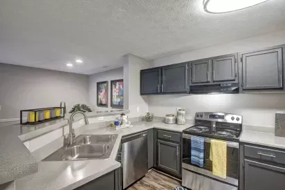 Modern kitchen with dark cabinetry, stainless steel appliances, dual-basin sink, and a spacious wraparound countertop overlooking the open dining and living area.