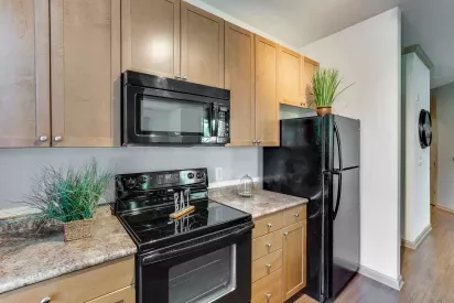 A modern kitchen featuring wood cabinets, black appliances, and decorative greenery. The functional layout provides ample counter space for meal prep.
