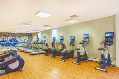 Modern apartment fitness center with wood-style flooring, treadmills, stationary bikes, and ellipticals, each equipped with personal screens. A geometric blue accent wall adds a stylish touch to the bright workout space with overhead lighting and natural light from windows.