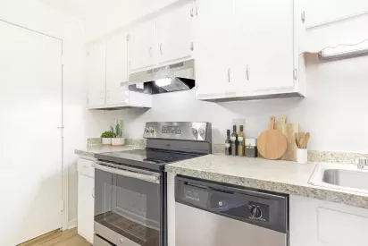 Bright kitchen with white cabinets, granite-style countertops, and stainless steel appliances including a stove, oven, and dishwasher. Countertop décor features potted plants, olive oil bottles, and wooden cutting boards for a modern touch.