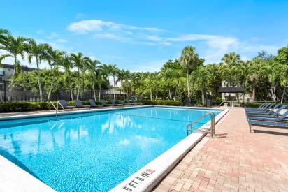 Large outdoor swimming pool with bright blue water, surrounded by brick deck, lounge chairs, and tall palm trees.
