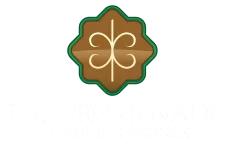 The Promenade At Boiling Springs Logo - White