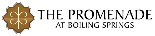 The Promenade at Boiling Springs logo with a stylized brown emblem on the left.
