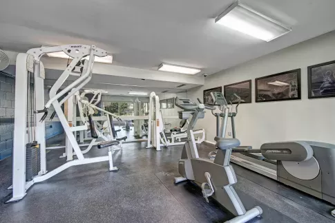 Cinnamon Run Peppertree Farm