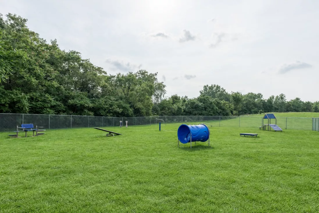 Fenced dog park with lush green grass and blue agility equipment, including a tunnel, ramps, and steps, under a cloudy sky.