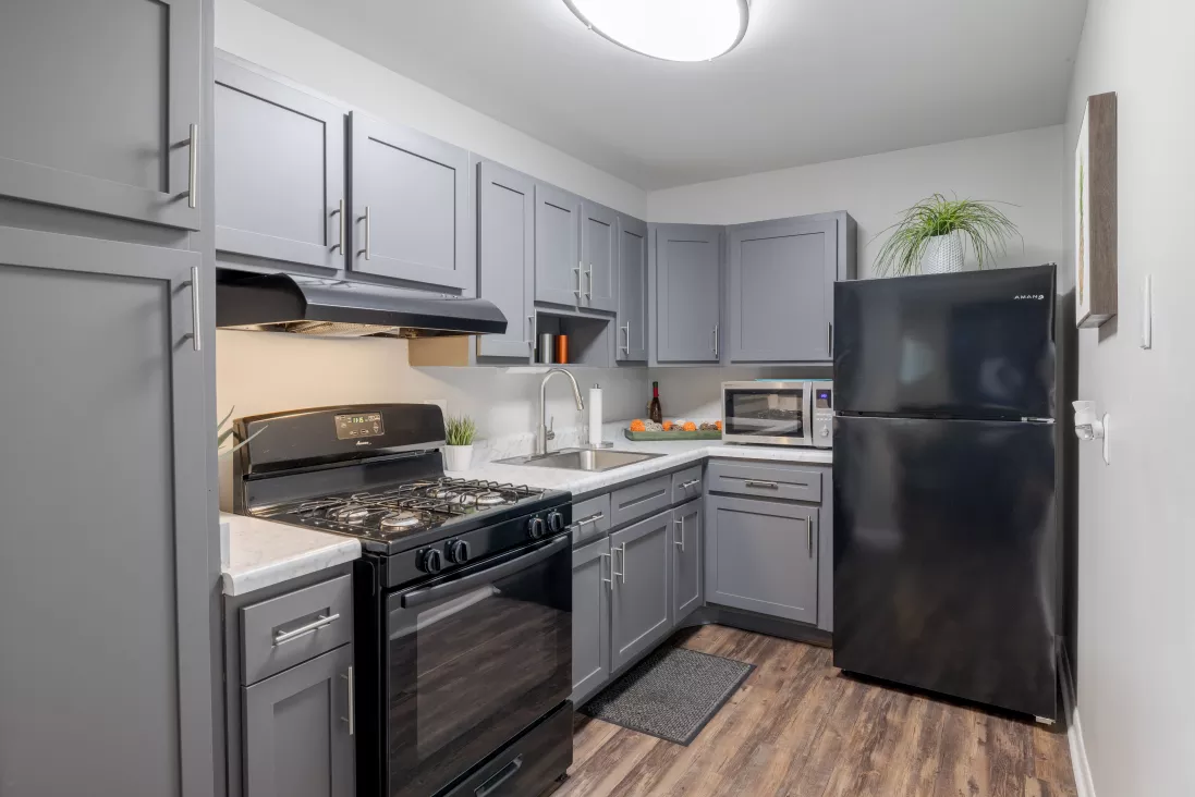 Modern kitchen with gray cabinets, white countertops, black gas range and refrigerator, and wood-look floor.