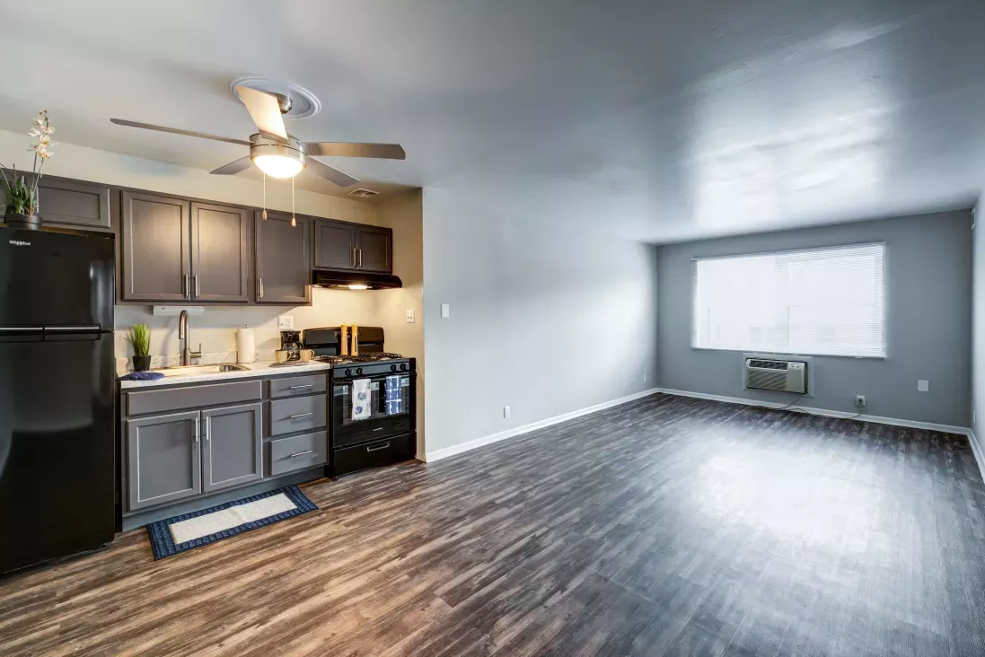 Open concept apartment with dark grey kitchen cabinets, black appliances, and a living area with dark wood-look floors.