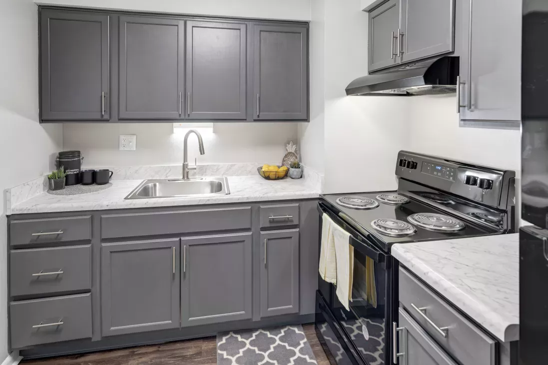 Contemporary kitchen with gray shaker cabinets, white quartz countertops, a black electric range, and stainless steel sink.