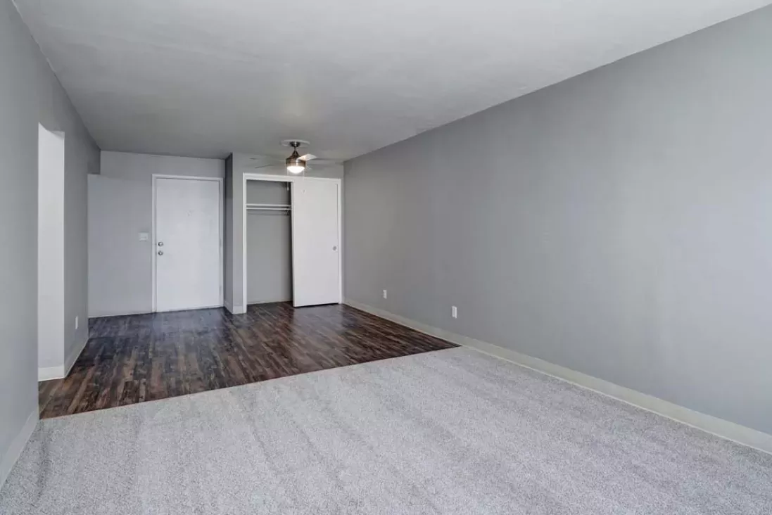 Empty room with light gray walls, a transition from dark wood floor to light gray carpet, an open closet, and an open door.
