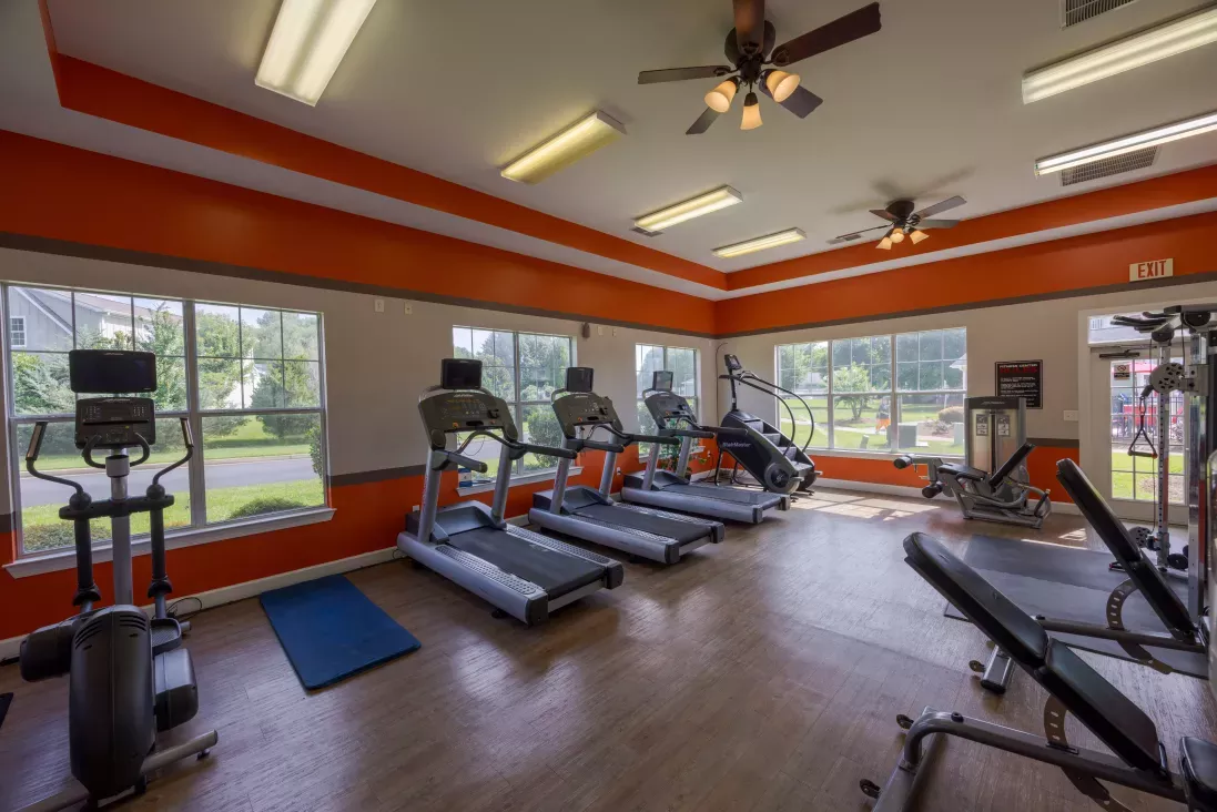 Bright fitness room with orange walls, multiple treadmills, an elliptical, weight machines, and large windows.